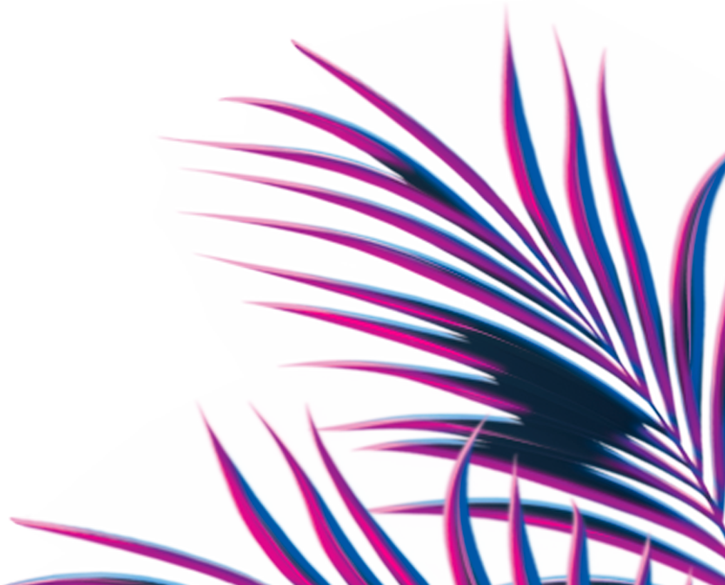 Palm Right